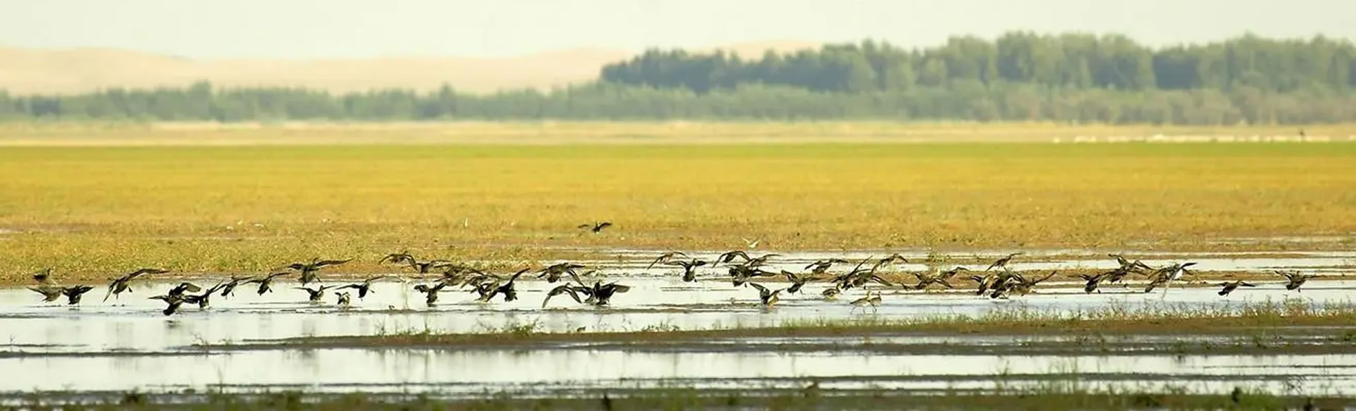 스포츠토토 배당률 보기